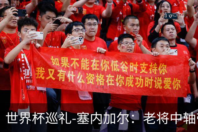 世界杯巡礼-塞内加尔：老将中轴带来安全感，非洲顶流前景可期！