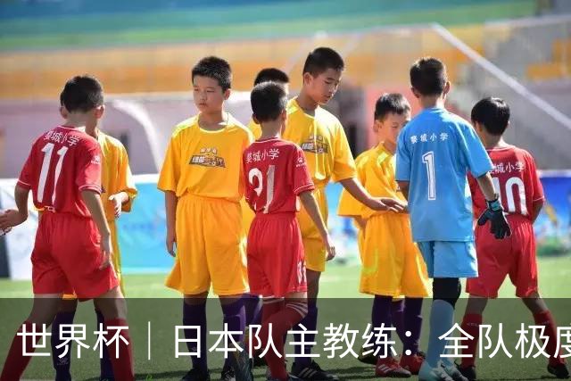 世界杯｜日本队主教练：全队极度渴望以小组头名出线